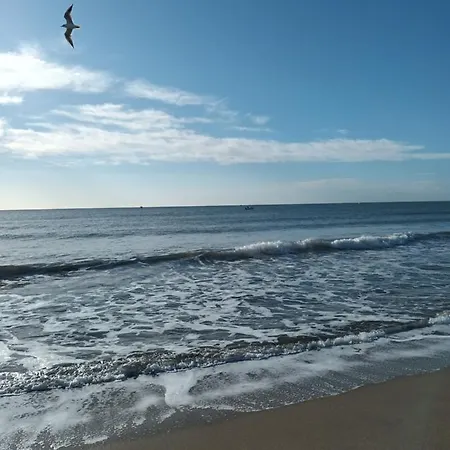 فندق مبيت وإفطار Maison Depale 3*