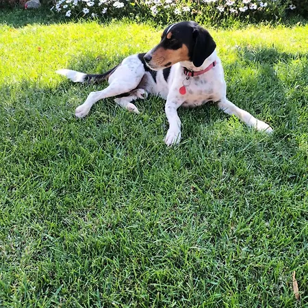 Maison Depale فندق مبيت وإفطار